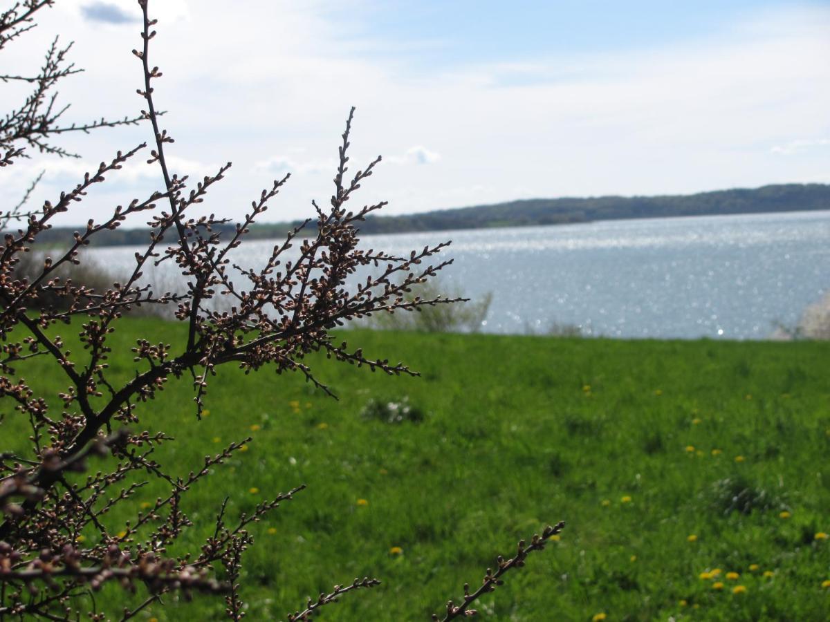 Tisvildehegn Bandb Helsinge Exteriér fotografie