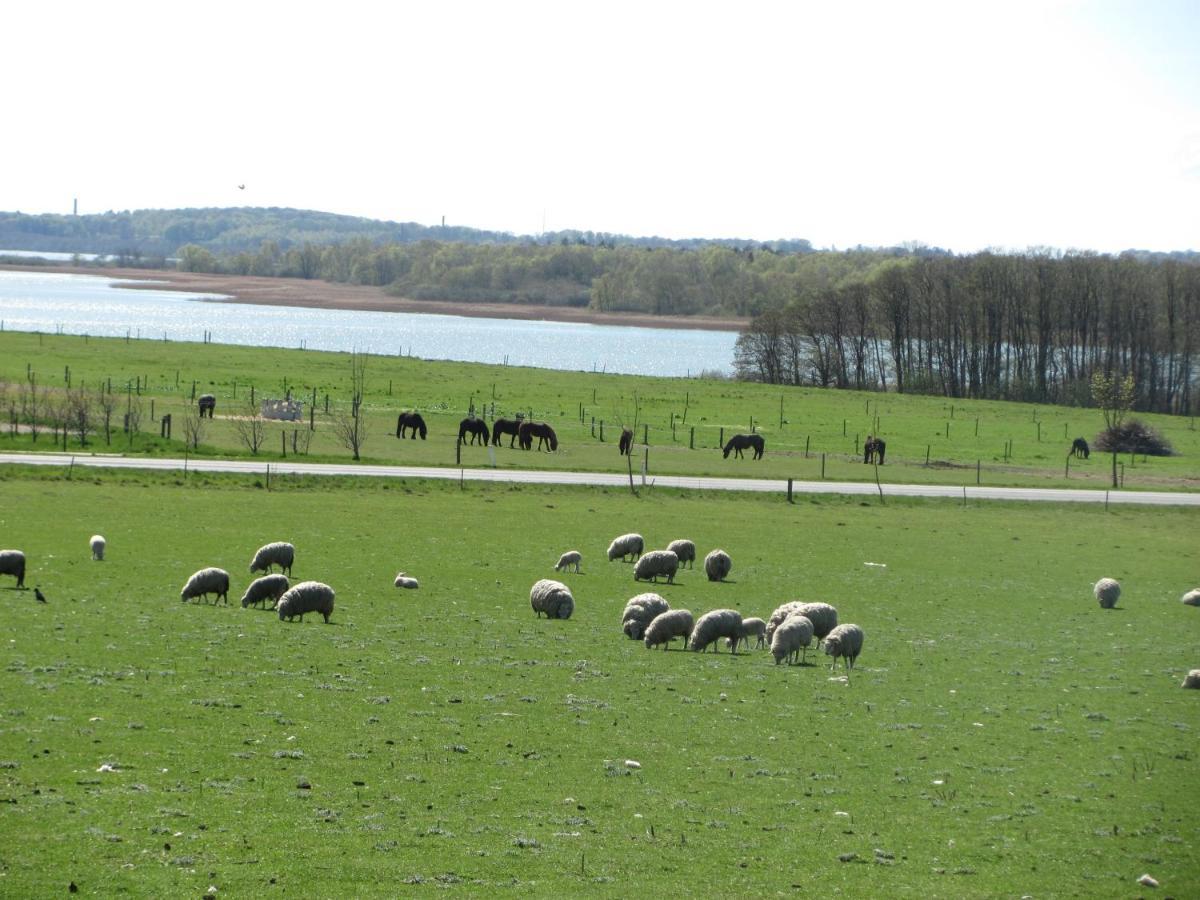 Tisvildehegn Bandb Helsinge Exteriér fotografie
